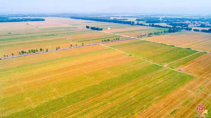 听，加压奋进的新乐章在章丘奏响！