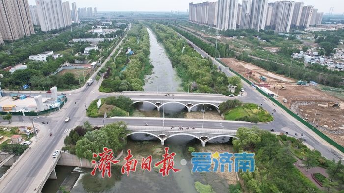 一年四季 泉在济南丨水清碧波映夏韵！小清河夏日风光旖旎景色如画