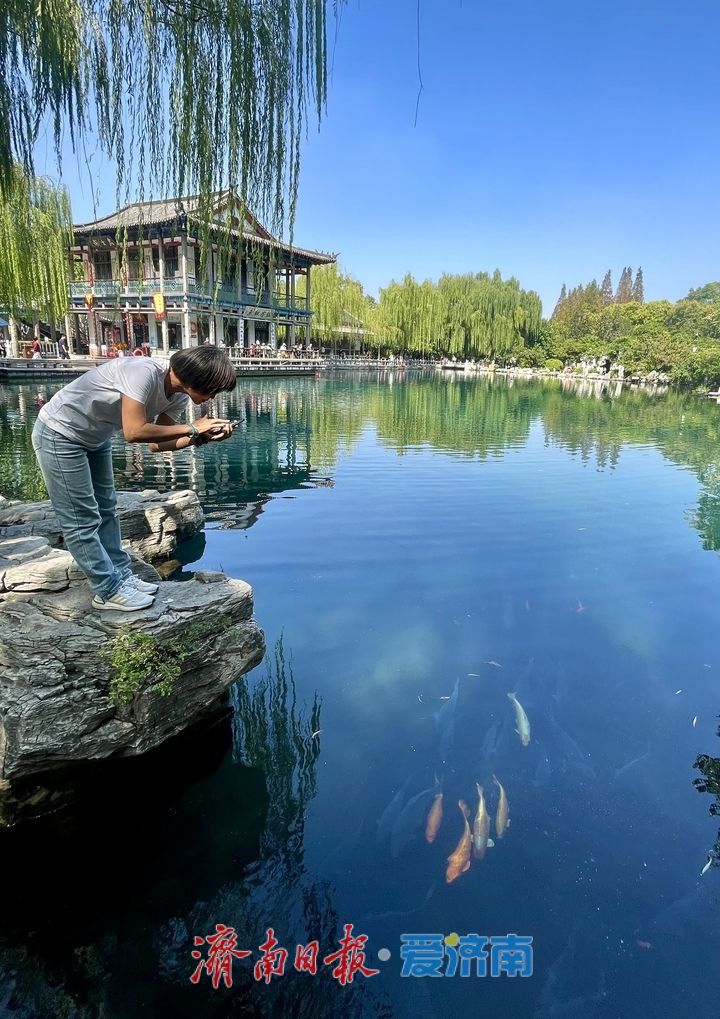 济南地下水位持续攀升，“亲泉”赏景正相宜