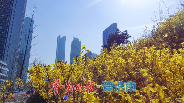 一年四季 泉在济南丨晴好沐春风 茂陵山公园春景正盛