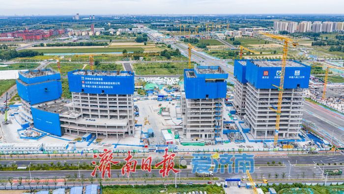 聚力种业创新 筑牢粮食安全根基 中国北方种业总部基地项目稳步推进
