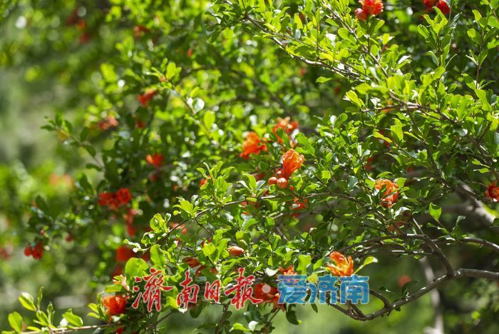 一年四季 泉在济南 