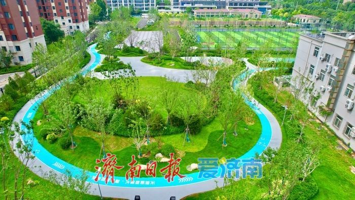 一年四季 泉在济南丨市中添“绿”又增“健”：君佑体育公园成居民休闲健身新选择