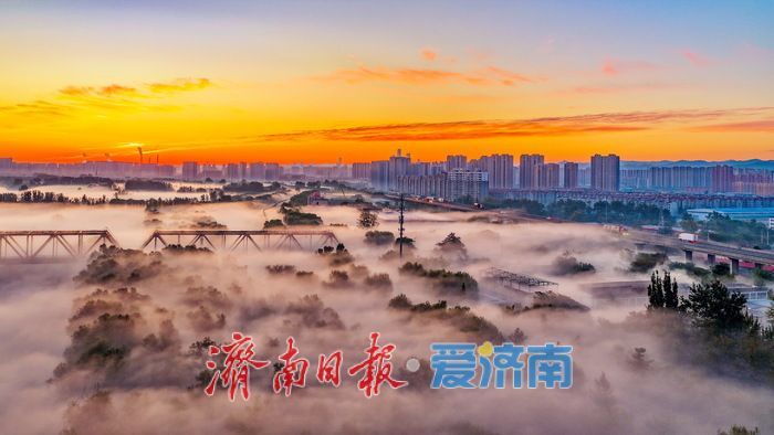 美若仙境！雾漫黄河破晓时，百年铁桥揽霞开