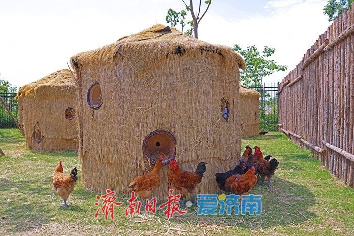 热度拉满！齐鲁童乡成济南亲子出游新晋热门打卡地