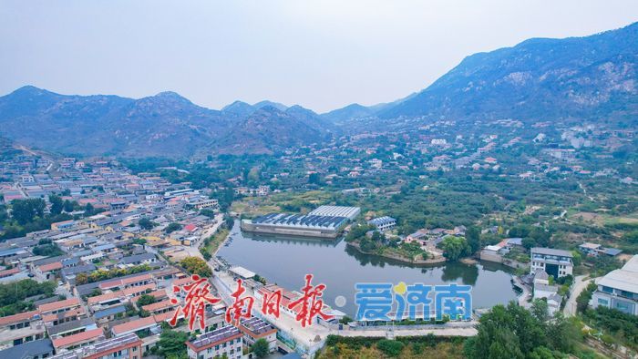 薄雾覆青山 长清马套村尽显乡村生态之美