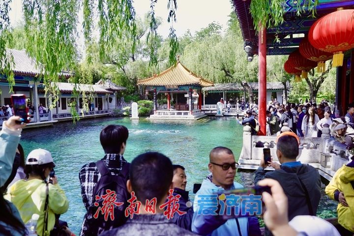 一年四季 泉在济南丨谷雨时节春将尽 趵突泉畔客流涌