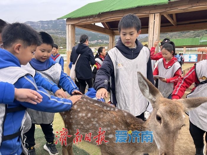 卢南村农场变身“萌宠乐园”！亲子解锁沉浸式互动新体验