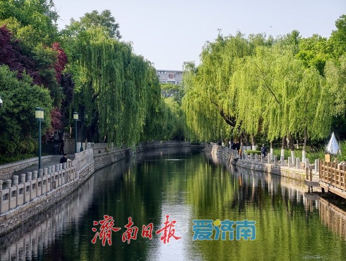 泉水绿道，串起一城春色