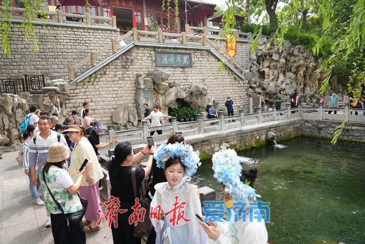 一年四季 泉在济南｜雨润泉欢 假期赏泉醉游人 