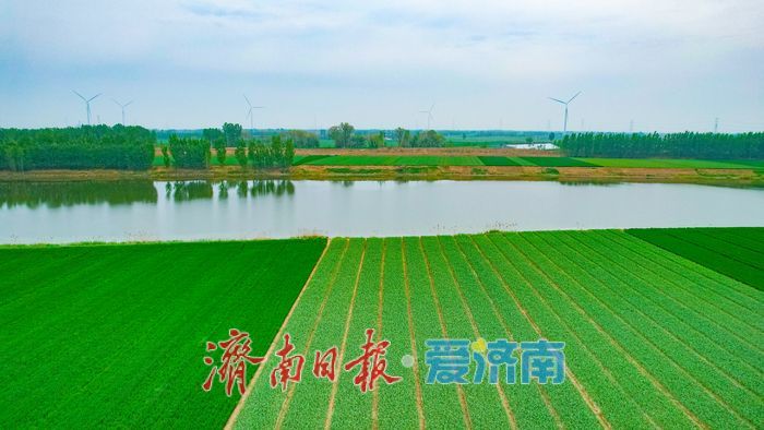 一年四季 泉在济南丨一河碧水绕良田 徒骇河畔田园美