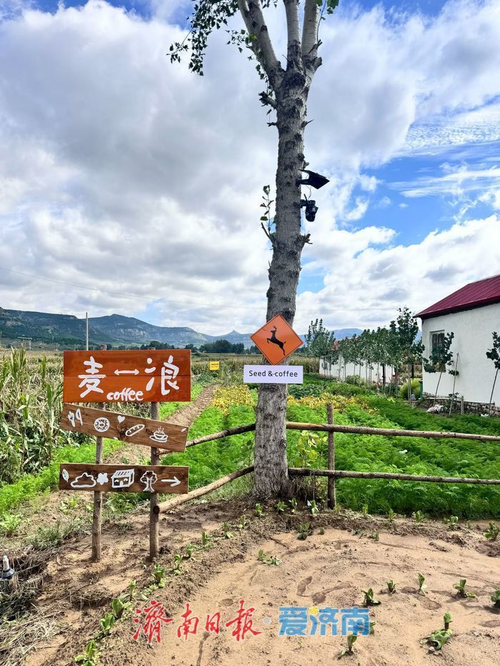 济南村咖试营业即“出圈” 激活乡村消费新活力