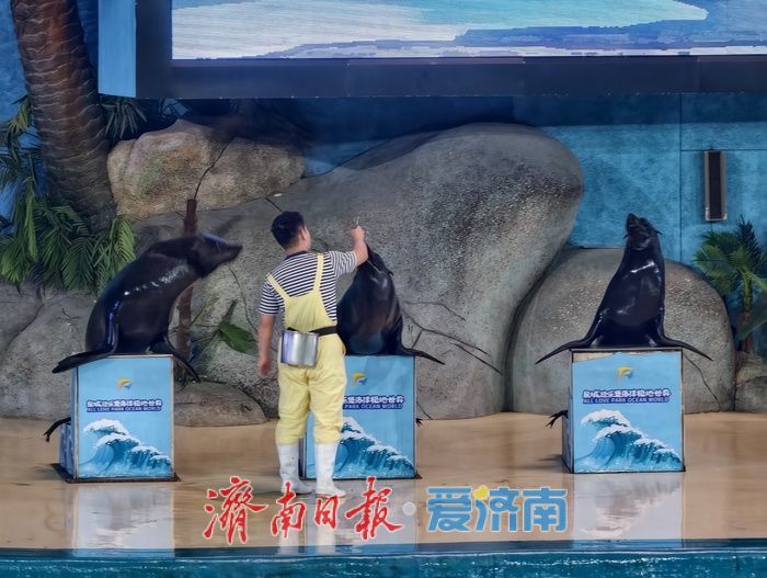 “五一”假期，海洋馆文旅消费持续走俏