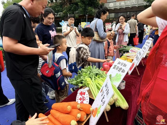 礼润星宝入经纶 仪式启梦赴新程——经纶小学新生入学适应性课程点亮成长新起点
