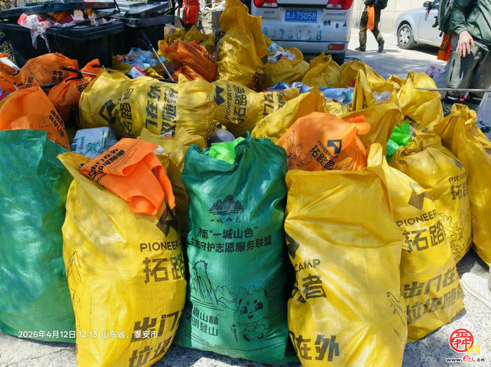 百人聚力净山野 生态守护筑青山 济南“一城山色”药乡森林公园百人净山活动圆满收官