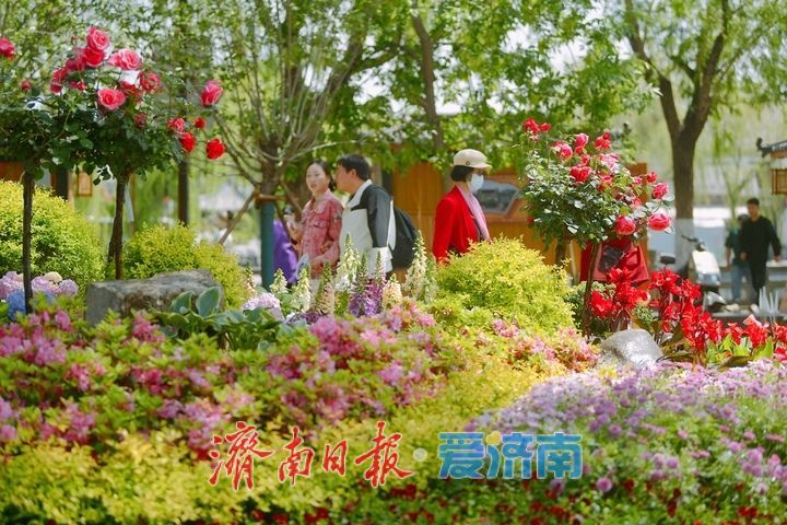 泉城老街着新装，色彩缤纷迎“五一”