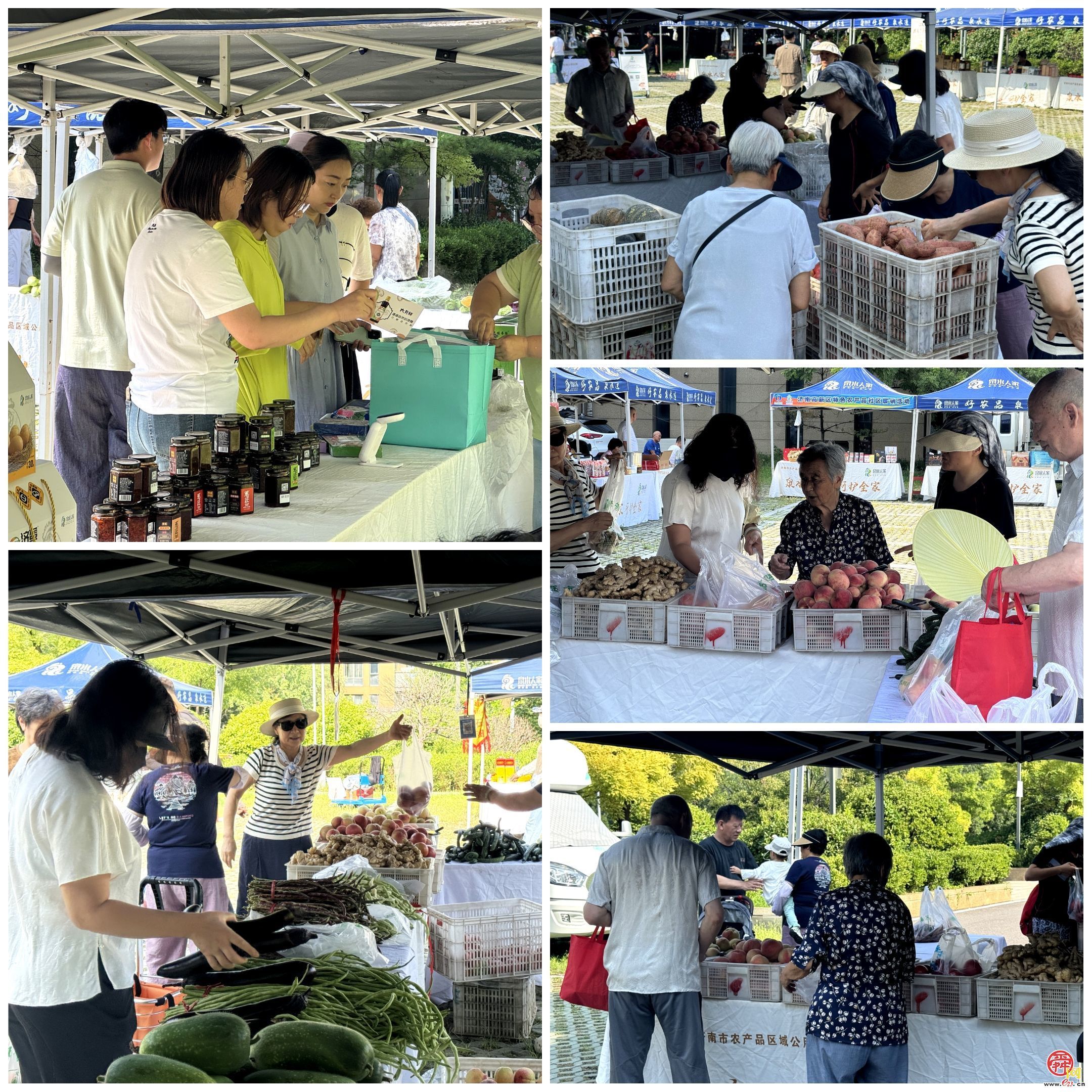 活动回顾｜从周中火到周末！泉水人家市集三场连摆，把“田间味道”直接送进社区
