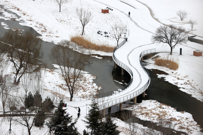 纷扬春雪润泉城 雪打花灯兆丰年