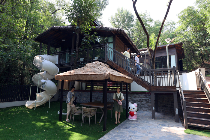 百合花开 红叶谷里游山玩水乐享夏日时光