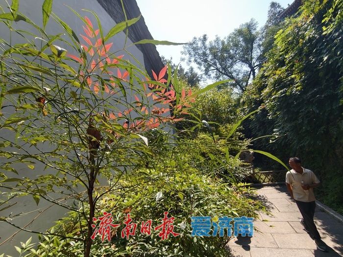 秋风送爽满明湖 一城秋色引游人