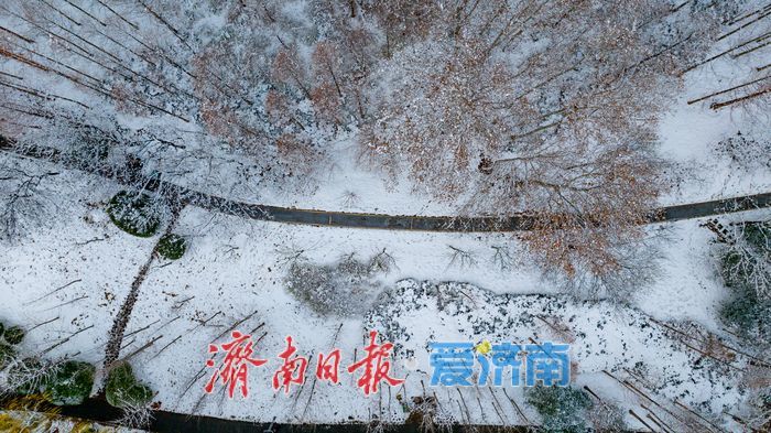 雪落泉城！济南森林公园银装素裹美景如画