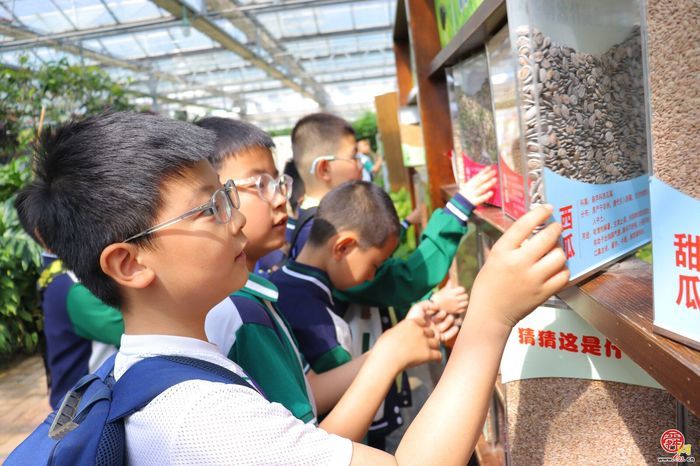 脚下踩泥土 心中藏成长——济南市天桥区枫景小学开启“‘玉’见小美好 节约大行动”主题实践课程