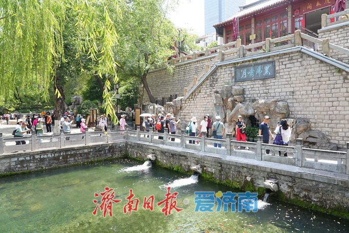 一年四季 泉在济南丨烈日炙烤 护城河畔成为“避暑秘境”