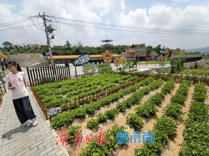 共享菜园激活城乡共生新图景