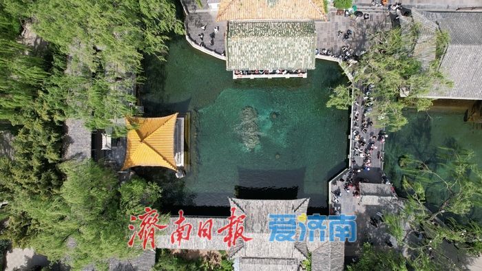 谷雨泉涌趵突盛 清泉映花入画来