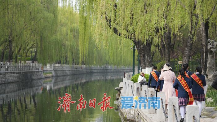 济南护城河畔春意浓