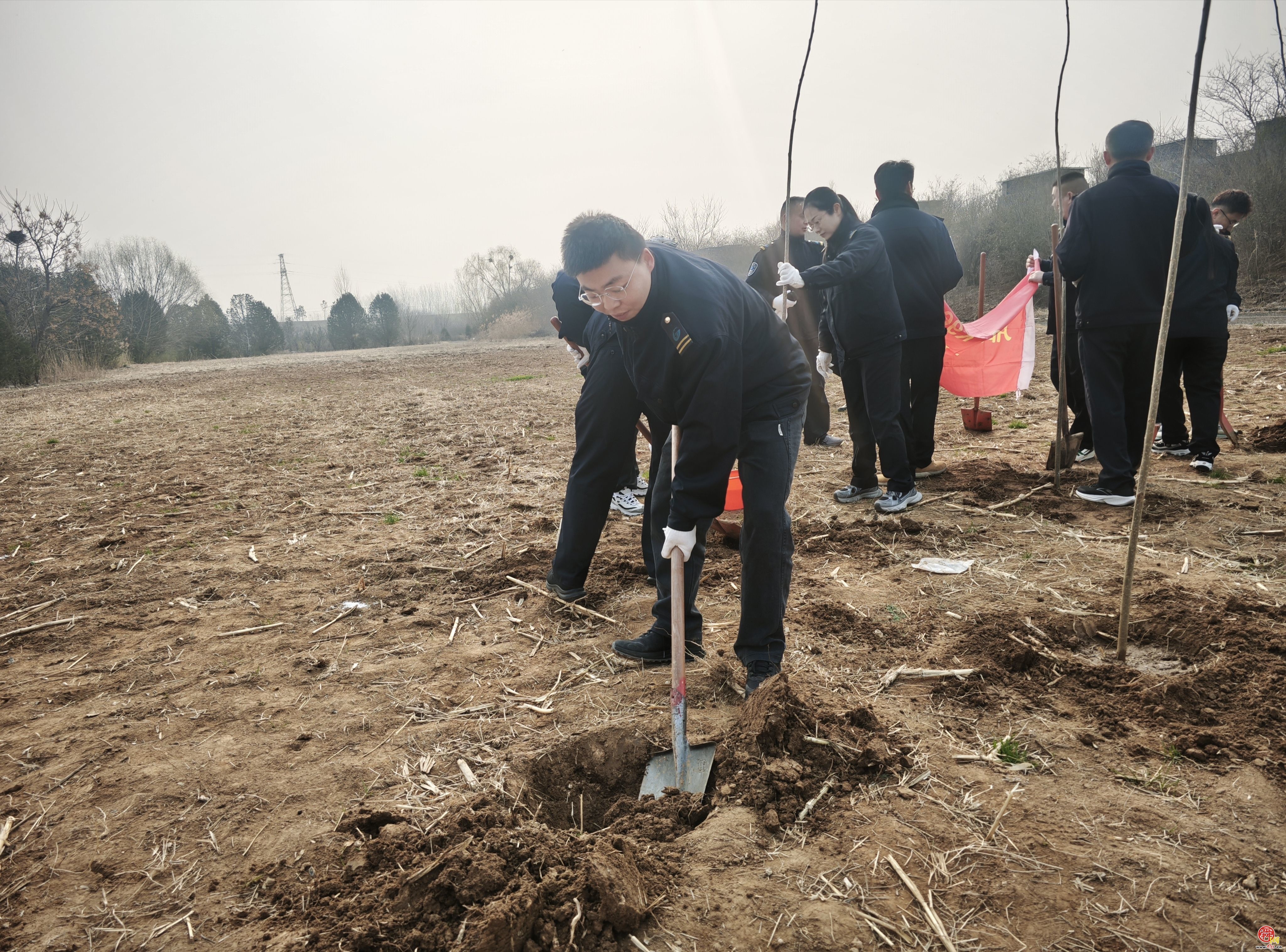 济南公交西部分公司开展义务植树活动