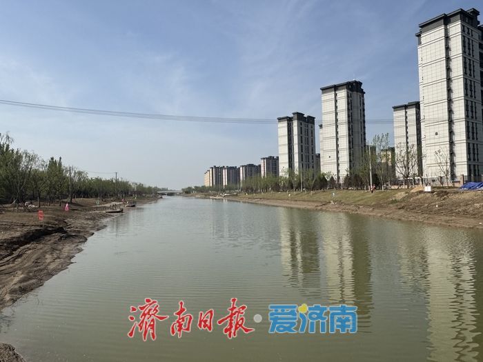 项目强省会｜大寺河提升改造初见成效 水清岸绿展新颜