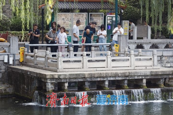 一年四季 泉在济南丨一河泉水映秋景 两岸风光醉游人