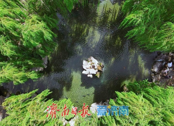 一年四季 泉在济南丨29米水位线触发月牙泉复涌，济南72名泉全面苏醒