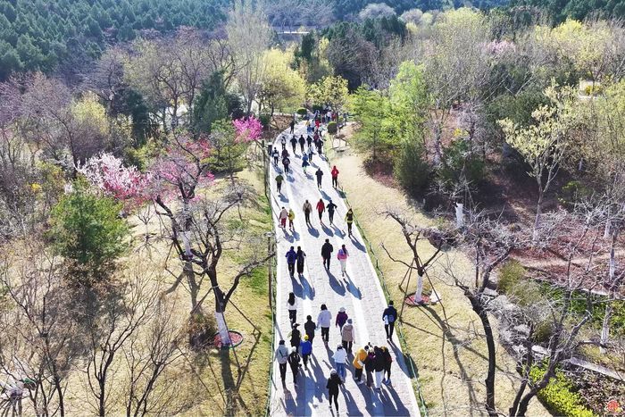 “双节”游济南 “一城山色登山打卡”小程序解锁泉城群山新玩法