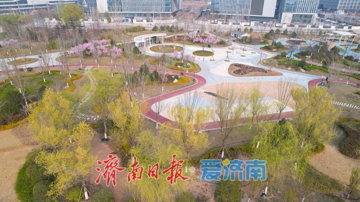 一年四季 泉在济南丨西部国际医学中心片区这座公园春日 “颜值” 拉满