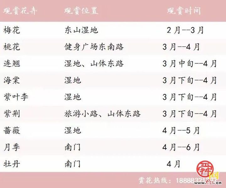 “马”上开花！章丘城区公园赏花地图出炉，开启春日好时光！