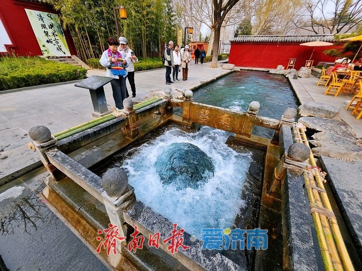 一年四季 泉在济南丨墨泉喷涌景色美 泉水叮咚迎客来