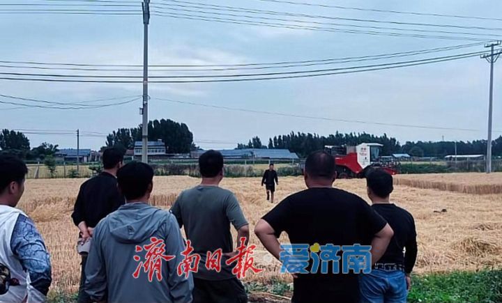 他们用短视频打开农忙市场—— 四个“00后”的麦收故事