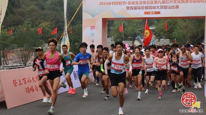 【回望2024 启航2025】垛庄镇：以奋进之笔书写高质量发展答卷