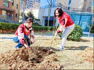 植树喜添新绿 共建文明家园——市中区福景幼儿园“植树节”主题活动