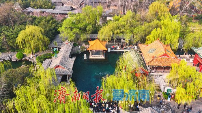 气温攀升泉涌欢，趵突泉畔春意浓