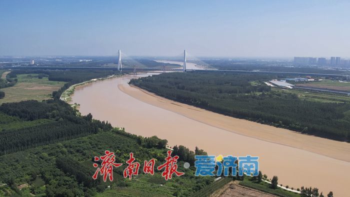 一年四季 泉在济南丨黄河秋色，美景如画