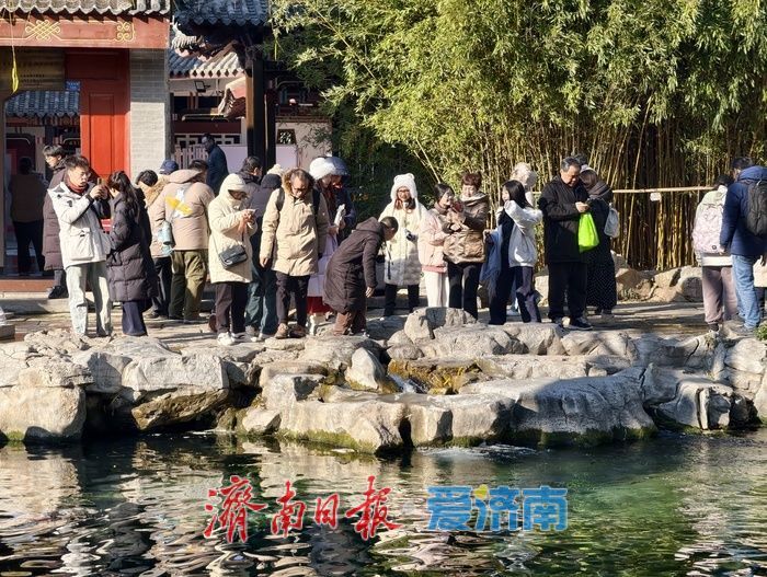 一年四季 泉在济南｜泉涌如歌贺新元，元旦假期济南地下水水位持续保持高位