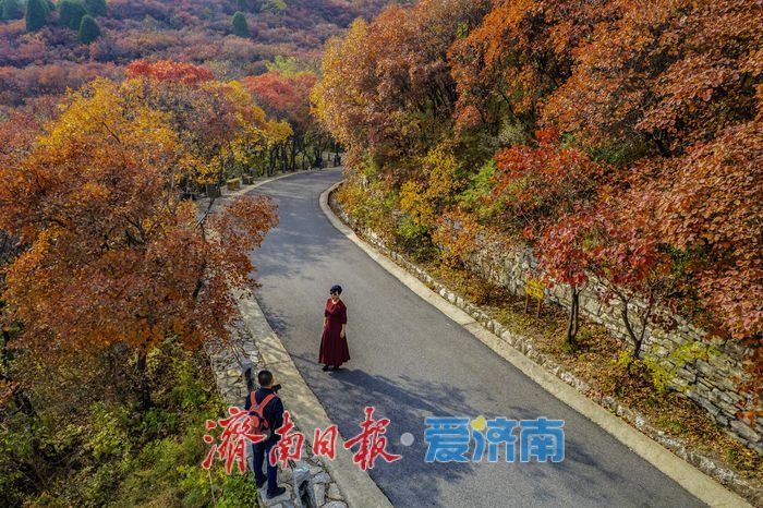 济南红叶谷氛围感拉满！沉浸式感受“万山红遍”的限定浪漫