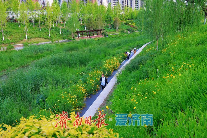 一年四季 泉在济南丨初夏风光无限好 乐享周末好时光