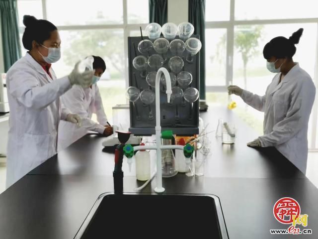 抓人才 兴科技 普集这家企业给出了优秀答案