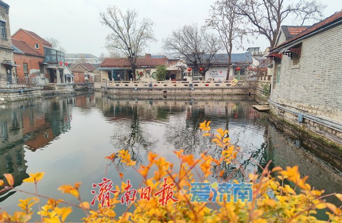 一年四季 泉在济南丨冬日王府池子泉韵悠悠醉游人