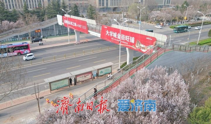 长清首座人行过街天桥投用