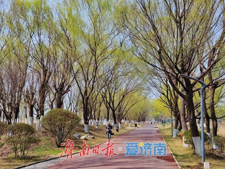 春染湿地美如画 生态济西迎客来